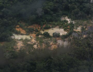 PGR defende fim de boa-fé para atestar origem de ouro