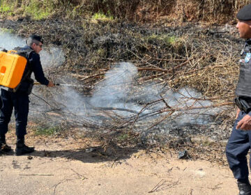 Guarda Municipal combate princípio de incêndio em vegetação próxima à escola