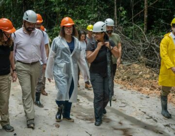 Brasil e Reino Unido anunciam aportes em projeto ambiental na Amazônia