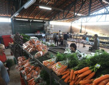 Preços da cenoura e do mamão caem nos principais mercados atacadistas