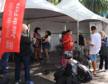 Evento de adoção responsável do Canil Municipal promove adoção de 18 pets