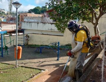 PJF avança no cuidado com as áreas verdes da cidade no primeiro semestre do ano