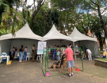 Canil Municipal promove adoção de pets e vacinação antirrábica neste sábado, 15, no Parque Halfeld