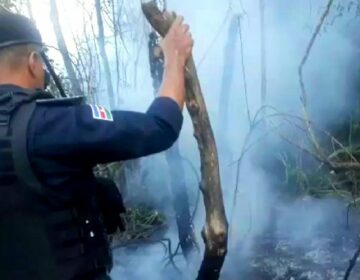 Guarda Municipal combate de incêndio em vegetação próximo ao Parque da Lajinha