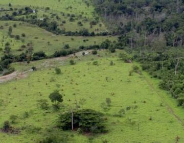 Aberto o prazo para entrega da Declaração do Imposto Territorial Rural