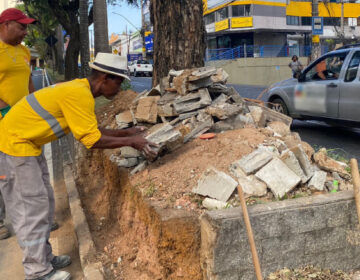 PJF trabalha na revitalização dos canteiros da Avenida Doutor Paulo Japiassú Coelho