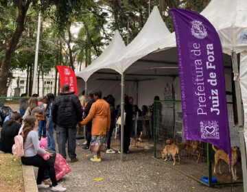 Evento de adoção responsável do Canil Municipal promove adoção de oito pets