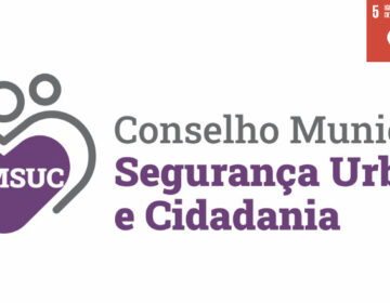 Conselho de Segurança aborda proteção à mulher vítima de violência doméstica e familiar