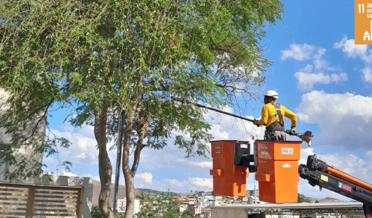 PJF realiza mais de 600 podas de árvores no mês de agosto