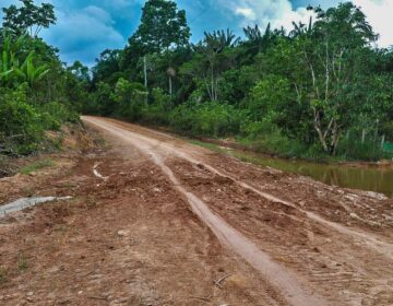 AGU consegue bloqueio de R$ 95,6 milhões de acusados por desmatamento