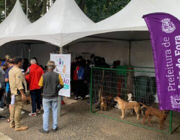 Canil Municipal promove evento de adoção responsável e vacinação antirrábica neste sábado, 16, no Parque Halfeld