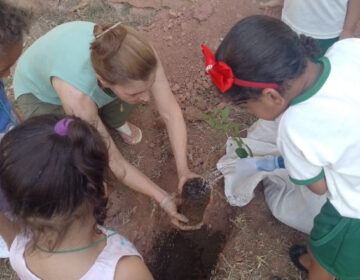 E. M. Professor Tarcísio Glanzmann adota projeto de horta para crianças