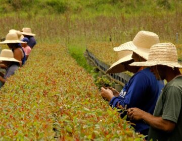 Estado e municípios discutem caminhos para fortalecer o desenvolvimento sustentável em Minas