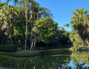 Museu Mariano Procópio lança programação para o Novembro Negro