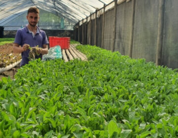 Segunda parte do Fomento Agro começa em Brumadinho e vai atender 132 produtores rurais