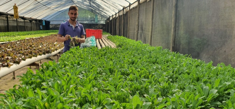 Segunda parte do Fomento Agro começa em Brumadinho e vai atender 132 produtores rurais