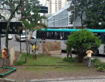 Prefeitura atende a 31 bairros com os serviços de limpeza e poda de grama nesta semana