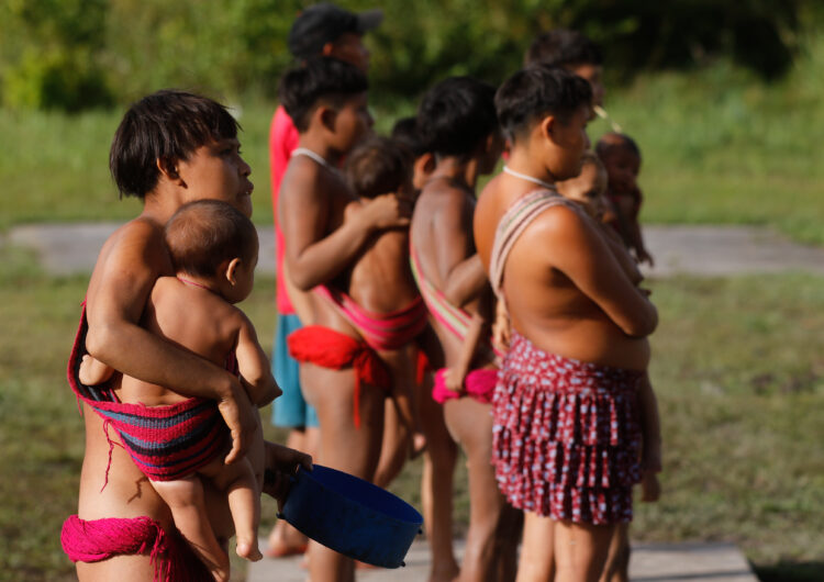 União tem 30 dias para apresentar plano contra garimpo em TI Yanomami