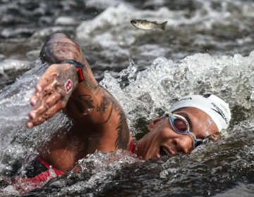 Natação: Ana Marcela é bronze nos 5km, o 1ª pódio do Brasil no Mundial