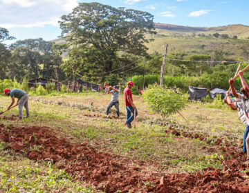 Justiça nega reintegração em fazenda ocupada pelo MST em Minas Gerais