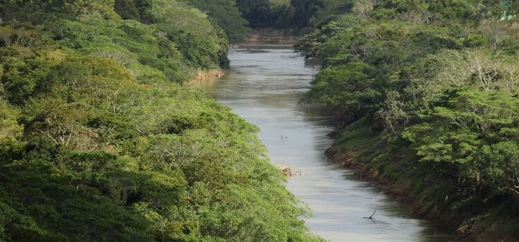 Implementação do Plano Estadual de Recursos Hídricos de Minas Gerais pode ser acessada no Painel de Indicadores do Sisema