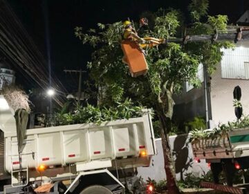Prefeitura intensifica trabalho de podas preventivas de árvores no período noturno