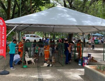 Cerca de 11 pets ganharam um novo lar no último evento de adoção no Parque Halfeld