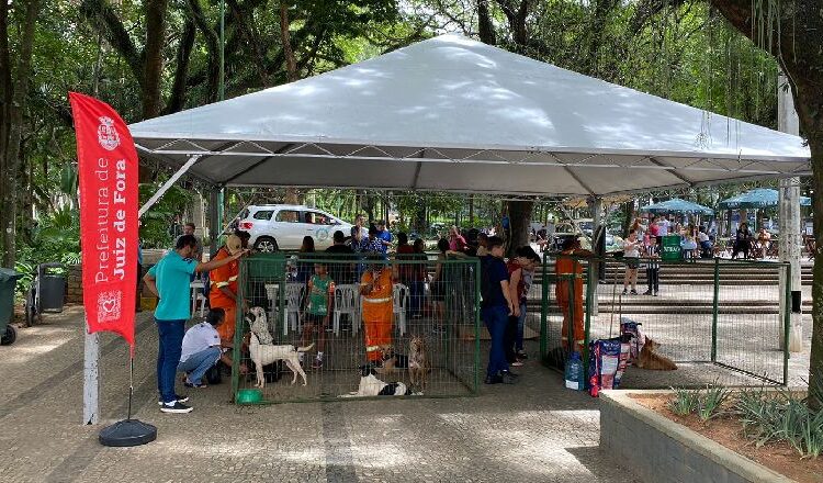 Canil Municipal realiza evento de adoção responsável neste sábado, 8