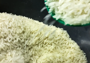 Ministro da Agricultura promete novo e mais eficiente leilão do arroz
