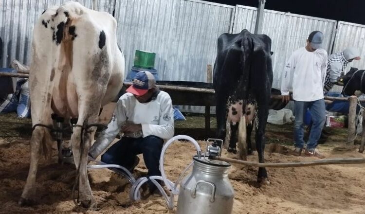 Torreões sedia 38ª Expo Feira de Gado Leiteiro a partir desta quinta-feira dia 25