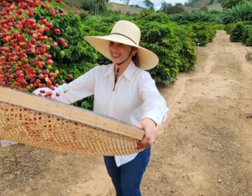 Cafeicultores incluídos no Certifica Minas terão redução de juros em linha do Plano Safra