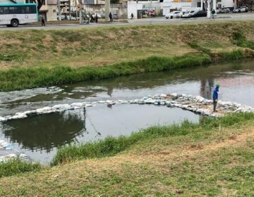 Cesama avança com trabalhos de despoluição do Rio Paraibuna