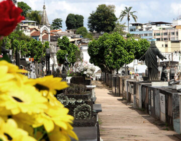 Prefeitura inicia licenciamento provisório para vendas de flores nos cemitérios