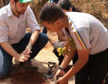 Governo de Minas abre a Semana Florestal 2024 com ações de plantio em todos os municípios