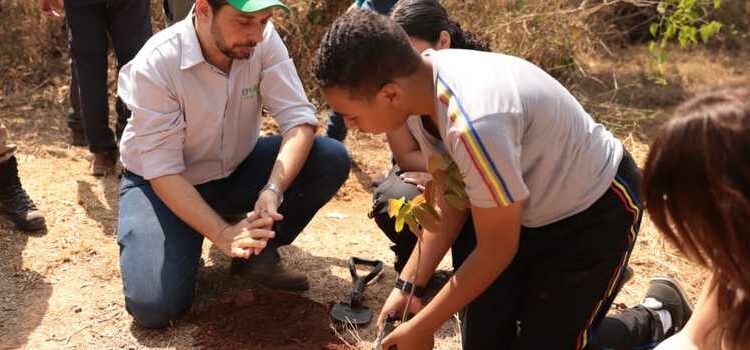 Governo de Minas abre a Semana Florestal 2024 com ações de plantio em todos os municípios