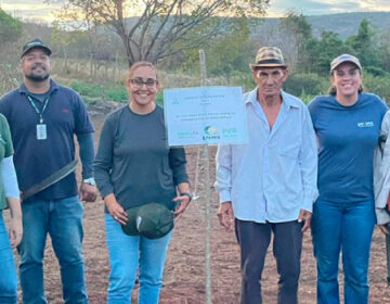 Epamig implanta 50 Unidades Demonstrativas de arroz de terras altas em Minas Gerais