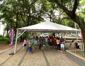 Parque Halfeld recebe evento de adoção do Canil Municipal neste sábado, 11