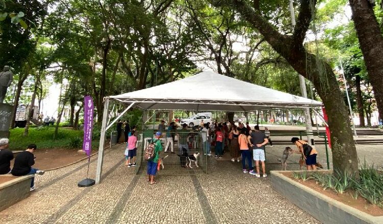 Parque Halfeld recebe evento de adoção do Canil Municipal neste sábado, 11