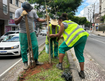 Empav realiza replantio de árvores na avenida Itamar Franco e no São Pedro