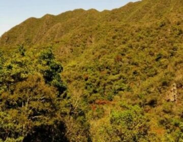 Governo do Estado publica revisão da classificação de risco das atividades econômicas para controle ambiental