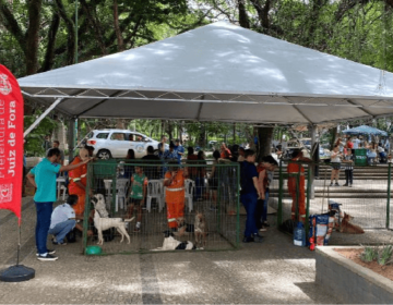 Oito pets foram adotados em evento do Canil Municipal