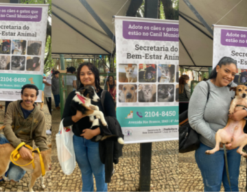 Evento de adoção no Parque Halfeld dá lar, microchip e vacina a animais da cidade
