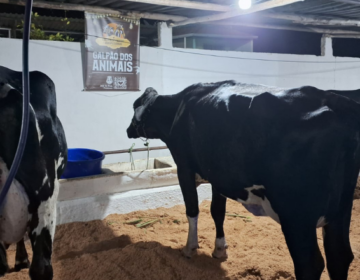 PJF divulga programação do Circuito de Eventos Agropecuários de Juiz de Fora