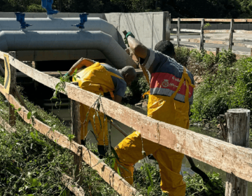 Demlurb realiza limpeza no córrego do bairro Industrial