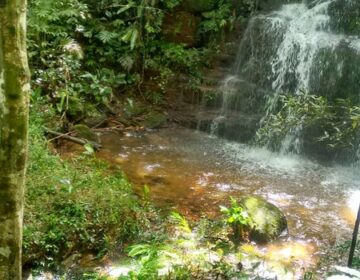 Governo de Minas disponibiliza ao público os planos de manejo de unidades de conservação privadas