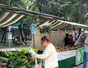 PJF abre inscrições para mais uma nova feira livre em período de experiência em Juiz de Fora