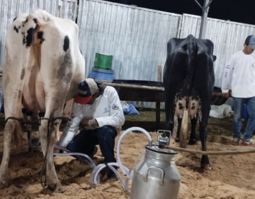 Shows, cavalgada e capacitação para produtores são atrações do 32º do Torneio Leiteiro e Mostra de Bezerras de Pires