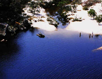 Minas Gerais celebra 25 anos do Sistema Nacional de Unidades de Conservação da Natureza