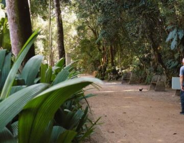 Inscrições abertas para o projeto “Caminhada Noturna” no Parque do Museu Mariano Procópio