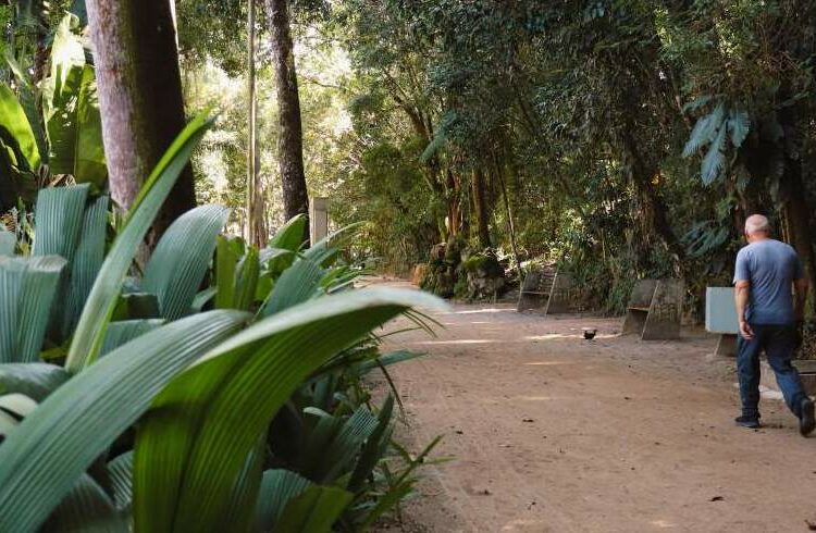 Inscrições abertas para o projeto “Caminhada Noturna” no Parque do Museu Mariano Procópio